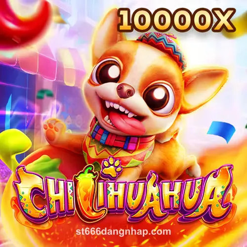 st666 Fachai Chihuahua Portrait