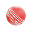 Cricket Ball